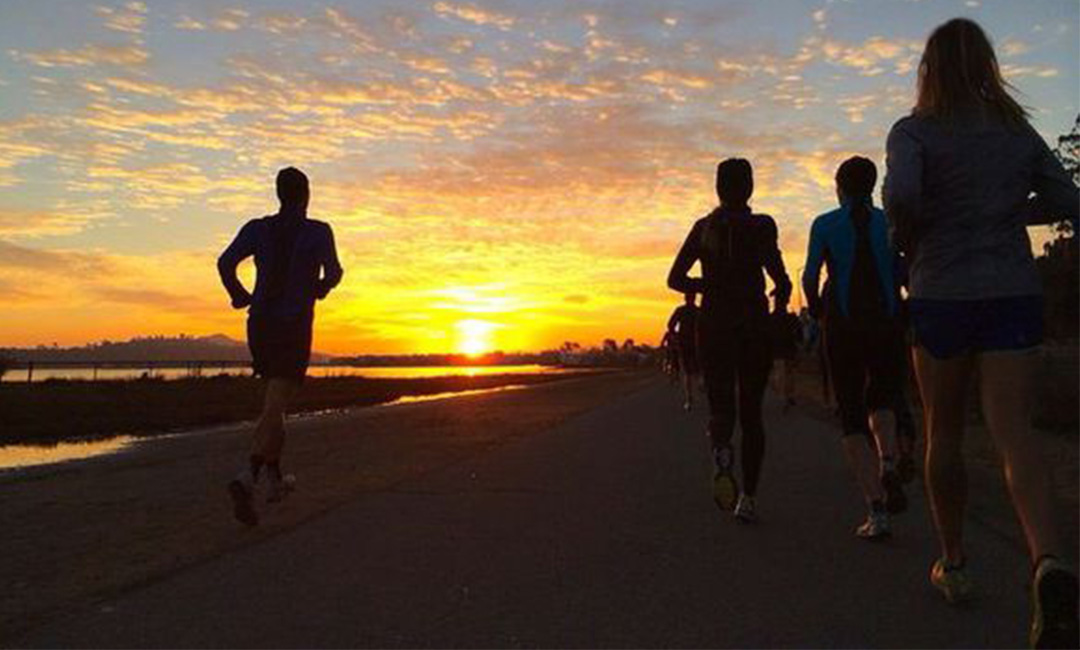 景德镇计步器问答案例